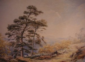 ???????????????????????????????