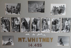 whitneyX350